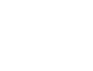 logo-white