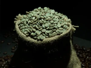 Fresh Nuwakot Green Coffee Beans in a burlap sack