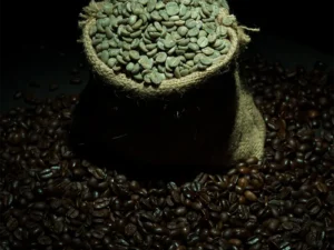 A jute bag filled with Indian Origin Green Beans surrounded by roasted coffee beans